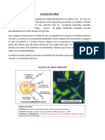 Cultivo de Virus Terminado