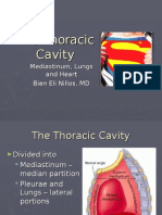 The Thoracic Cavity