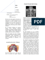 Anatomía de Tórax y Trauma Torácico