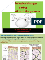 3rd Lecture Morphological Changes During Maturation o Te Gametea