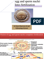 6th Lecture Embryogenesis 2nd Week-8th