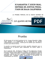 La Prueba Pericial en El Nuevo Sistema de Justicia Penal