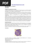 PDF Documento