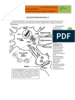 Neurotransmisores II