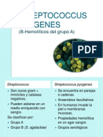 Streptococcus Pyogenes