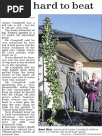 A Tale Hard To Beat (Timaru Herald 2013.08.31)