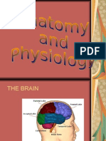 Anatomy and Physiology Tetanus Final