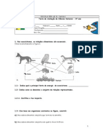 3º Teste 8º Ano