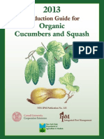 Organic Cucumber Cucurbit