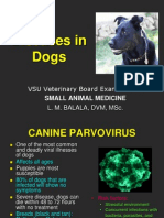 Diseases in Dogs