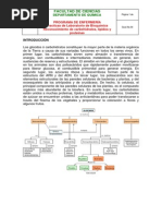 Bioquimica Enfermería