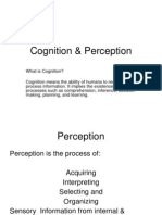 Cognition & Perception