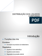 Distribuição Dos Fluidos Corporais