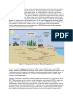 The Nitrogen Cycle Represents One of The Most Important Nutrient Cycles Found in Ecosystems