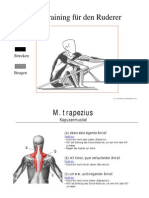 Krafttraining Ruderer