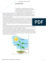 Biologia2ºLetras - Autótrofos y Heterótrofos