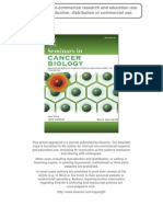 Neurobiology of Cancer Interactions Between Nervous, Endocrine and Immune Systems As A Base For Monitoring and Modulating The Tumorigenesis by The Brain