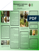 Walnut Micropropagation in Liquid Culture PDF