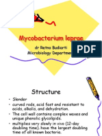 Mycobacterium Leprae: DR Retno Budiarti Microbiology Department