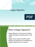 Biogas Digestion