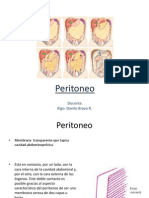 18a. Peritoneo e Irrigación