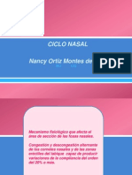 Ciclo Nasal