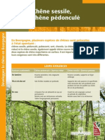 Chene Sessile Chene Pedoncule PDF