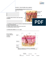 Módulo 3565 Ficha de Trabalho Epiderme