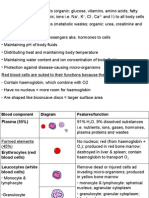 Circulatory System Notes