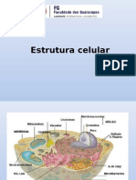 (5a Aula) Organelas e Estrutura Celular