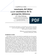 Neuroanatomía Del Dolor (Vilallonga)