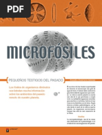 Microfosiles 108 Ok 22 24