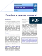 Capacidad Empresarial