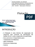 Seminario Flotação