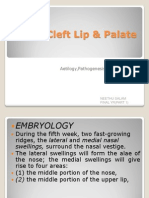 Cleft Lip and Palate - PPT - Orthodontics