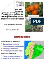 05 Ipmcrsp Ecuador Mip Naranjilla