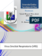 Virus Sincitial Respiratorio