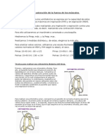 BM y Cirtometría