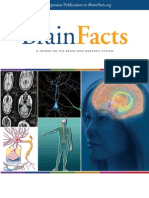 Brain Facts Book PDF