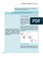 Module 1 - Enzymes PDF