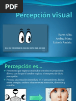 Percepción Visual