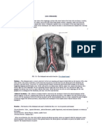 The Abdominal Aorta