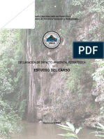 DIA-E Estudio Carso PDF