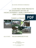 Proyecto Ganaderia Bovina DP La Pradera Imp