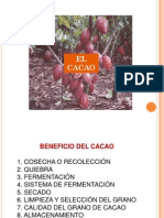 El Cacao PDF