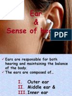 Human Ear