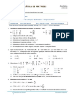 Ficha Matrizes (2013-14)