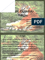 Texto Expositivo El Tigre