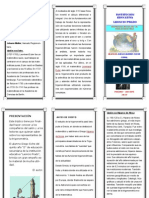 Tríptico Representantes de La Trigonometría PDF