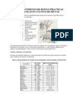 Establecimiento de Buenas Practicas Agricolas en Frutales